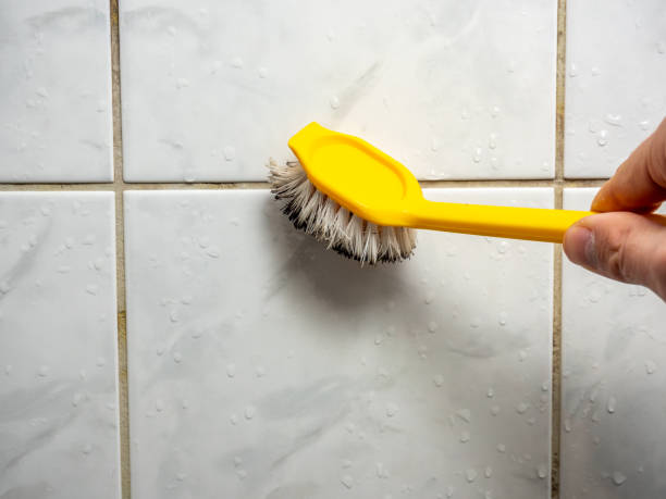 Best Mold Removal Company Near Me  in Rocky Mount, VA
