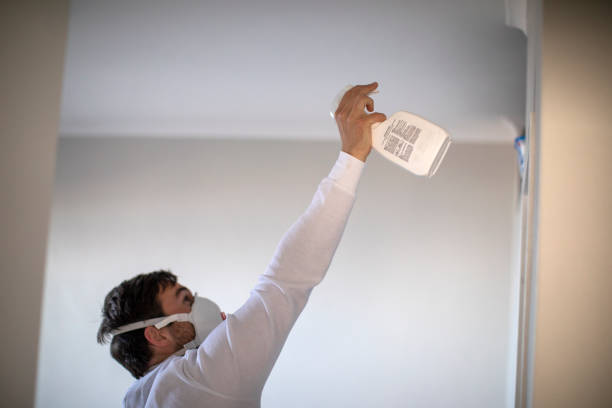 Best Fast Mold Removal  in Rocky Mount, VA
