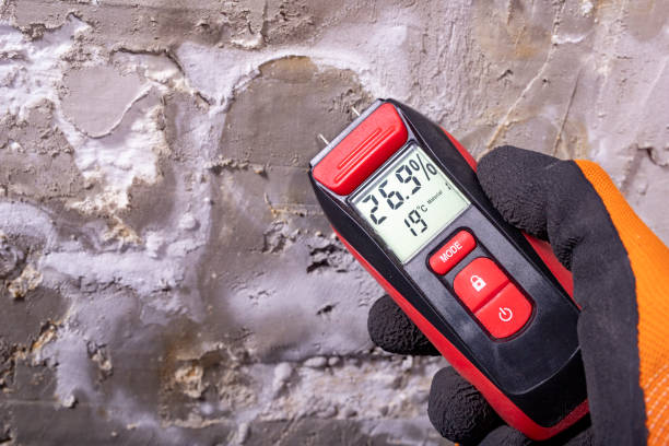Best Mold Cleaning Services  in Rocky Mount, VA