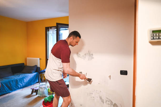 Best Residential Mold Removal  in Rocky Mount, VA